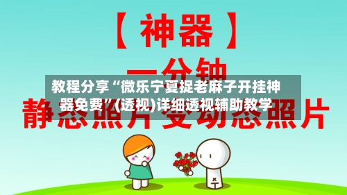 教程分享“微乐宁夏捉老麻子开挂神器免费”(透视)详细透视辅助教学-第2张图片