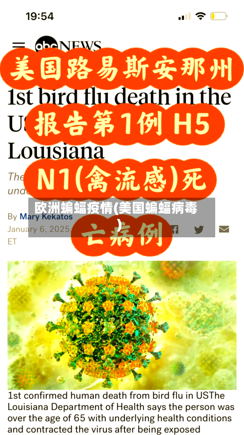 欧洲蝙蝠疫情(美国蝙蝠病毒)-第1张图片