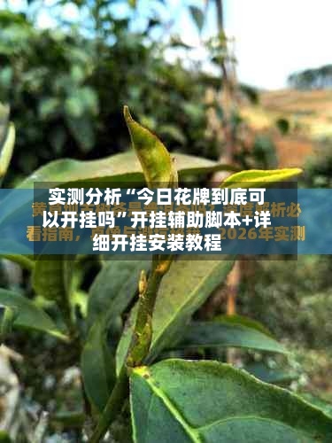 实测分析“今日花牌到底可以开挂吗”开挂辅助脚本+详细开挂安装教程-第1张图片