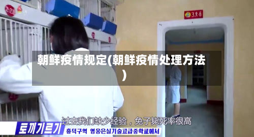 朝鲜疫情规定(朝鲜疫情处理方法)-第2张图片