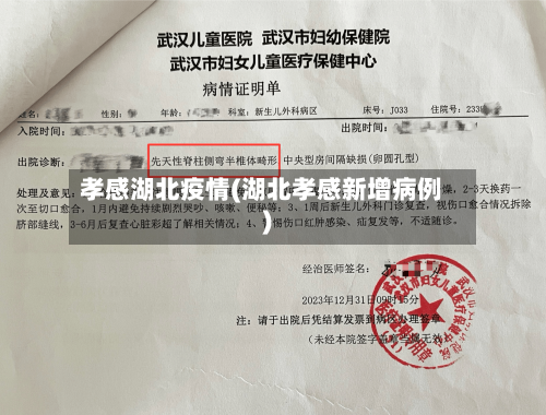 孝感湖北疫情(湖北孝感新增病例)-第3张图片