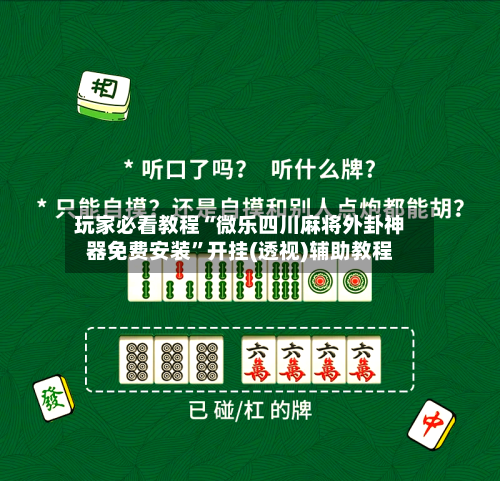 玩家必看教程“微乐四川麻将外卦神器免费安装	”开挂(透视)辅助教程-第3张图片