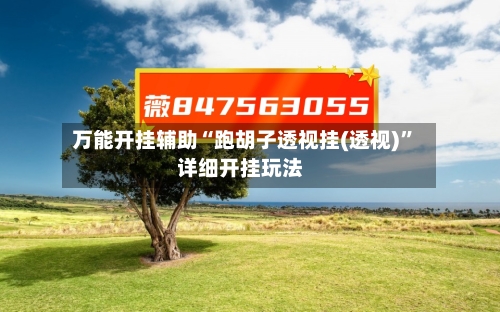 万能开挂辅助“跑胡子透视挂(透视)”详细开挂玩法-第3张图片