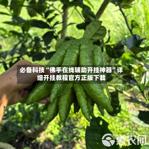 必备科技“佛手在线辅助开挂神器”详细开挂教程官方正版下载-第1张图片