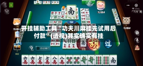 开挂辅助工具“功夫川麻挂先试用后付款	”(透视)其实确实有挂-第1张图片