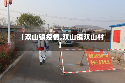 【双山镇疫情,双山镇双山村】-第2张图片