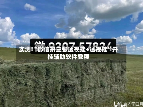 实测!“微信拼三张透视挂+透视挂”开挂辅助软件教程-第1张图片