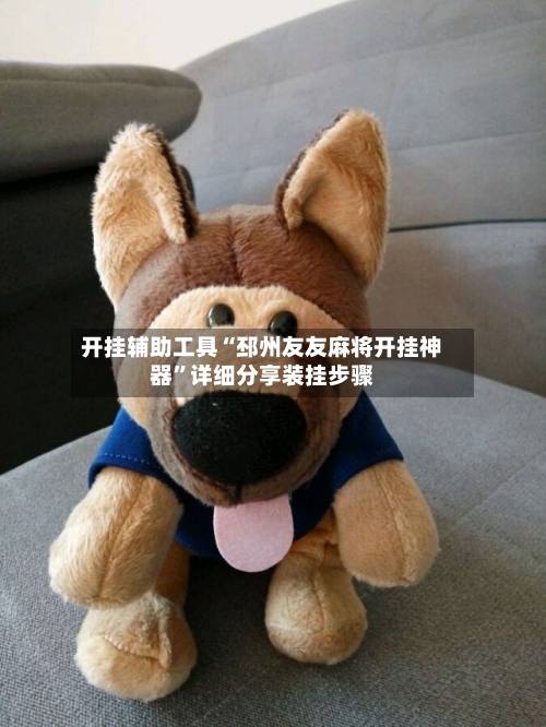 开挂辅助工具“邳州友友麻将开挂神器”详细分享装挂步骤-第3张图片