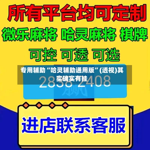专用辅助“哈灵辅助通用版”(透视)其实确实有挂-第2张图片