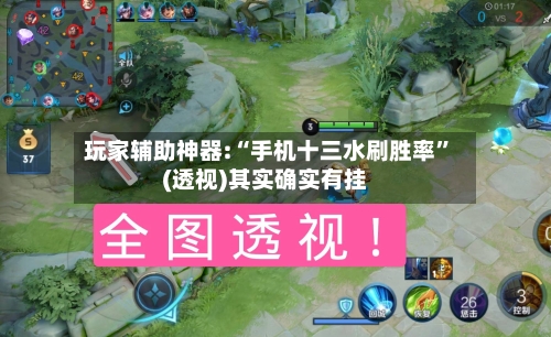 玩家辅助神器:“手机十三水刷胜率”(透视)其实确实有挂-第1张图片