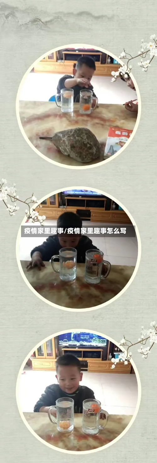 疫情家里趣事/疫情家里趣事怎么写-第3张图片