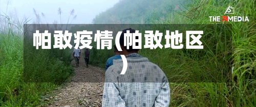 帕敢疫情(帕敢地区)-第2张图片