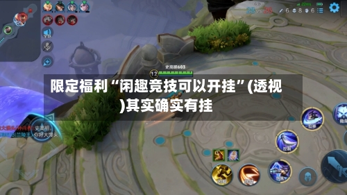 限定福利“闲趣竞技可以开挂”(透视)其实确实有挂-第3张图片