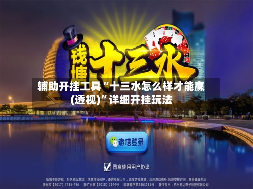 辅助开挂工具“十三水怎么样才能赢(透视)”详细开挂玩法-第3张图片