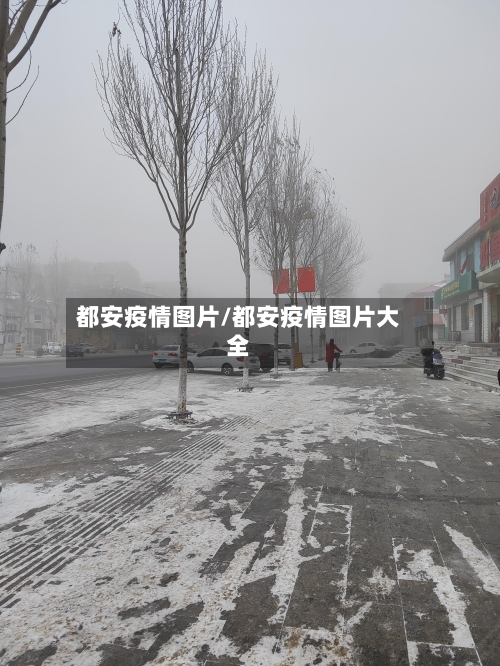 都安疫情图片/都安疫情图片大全-第1张图片