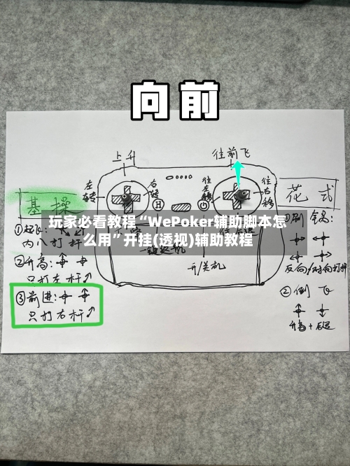 玩家必看教程“WePoker辅助脚本怎么用”开挂(透视)辅助教程-第1张图片