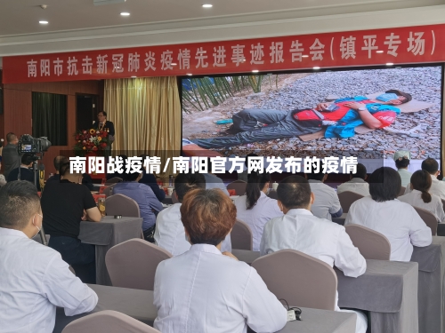 南阳战疫情/南阳官方网发布的疫情-第2张图片