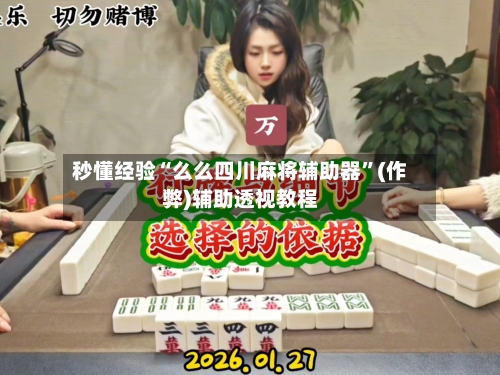 秒懂经验“么么四川麻将辅助器”(作弊)辅助透视教程-第2张图片