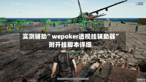 实测辅助”wepoker透视挂辅助器”附开挂脚本详细-第1张图片