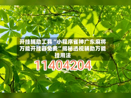 开挂辅助工具“小程序雀神广东麻将万能开挂器免费	”揭秘透视辅助万能挂用法-第3张图片