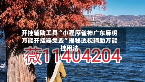 开挂辅助工具“小程序雀神广东麻将万能开挂器免费”揭秘透视辅助万能挂用法-第2张图片
