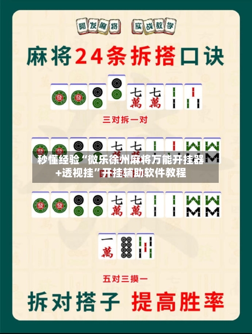 秒懂经验“微乐徐州麻将万能开挂器+透视挂”开挂辅助软件教程-第1张图片