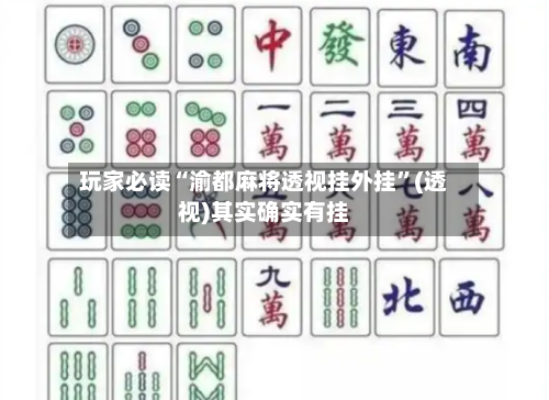 玩家必读“渝都麻将透视挂外挂	”(透视)其实确实有挂-第2张图片