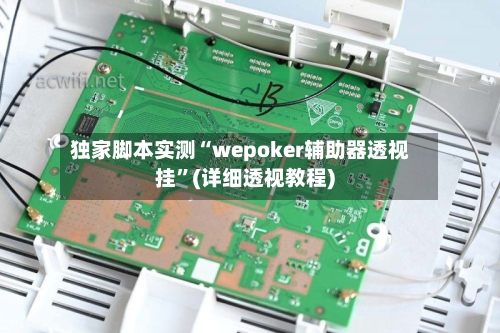 独家脚本实测“wepoker辅助器透视挂”(详细透视教程)-第2张图片