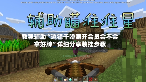 教程辅助“边锋干瞪眼开会员会不会拿好牌”详细分享装挂步骤-第3张图片