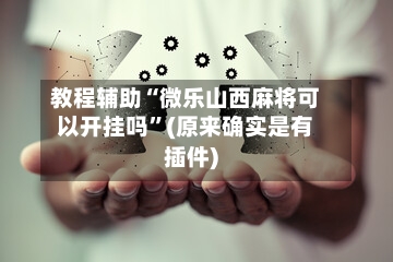 教程辅助“微乐山西麻将可以开挂吗”(原来确实是有插件)-第3张图片