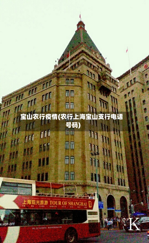 宝山农行疫情(农行上海宝山支行电话号码)-第2张图片