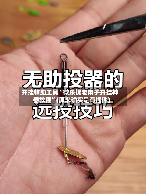 开挂辅助工具“微乐捉老麻子开挂神器教程”(原来确实是有插件)-第2张图片
