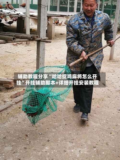 辅助教程分享“哈哈捉鸡麻将怎么开挂	”开挂辅助脚本+详细开挂安装教程-第2张图片