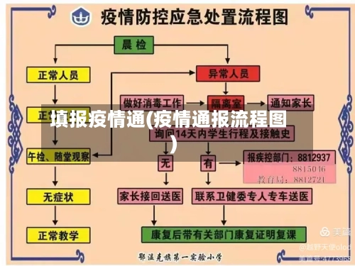 填报疫情通(疫情通报流程图)-第1张图片