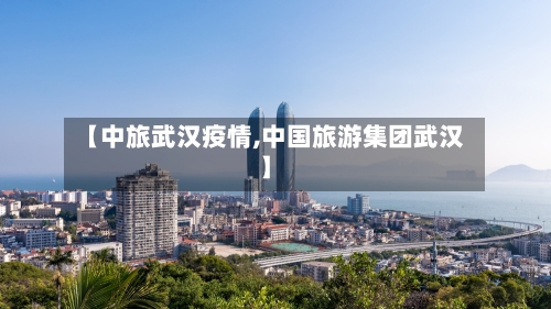 【中旅武汉疫情,中国旅游集团武汉】-第1张图片