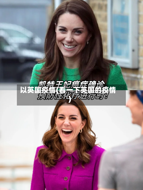 以英国疫情(看一下英国的疫情)-第1张图片