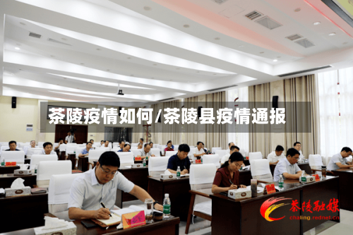 茶陵疫情如何/茶陵县疫情通报-第1张图片