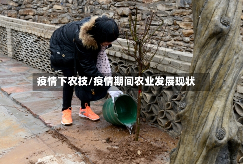 疫情下农技/疫情期间农业发展现状-第1张图片