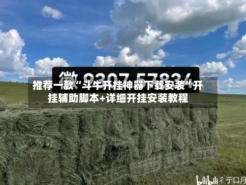 推荐一款“斗牛开挂神器下载安装”开挂辅助脚本+详细开挂安装教程-第2张图片