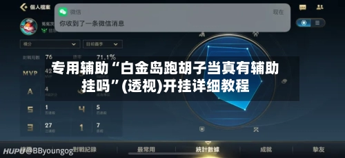 专用辅助“白金岛跑胡子当真有辅助挂吗”(透视)开挂详细教程-第2张图片