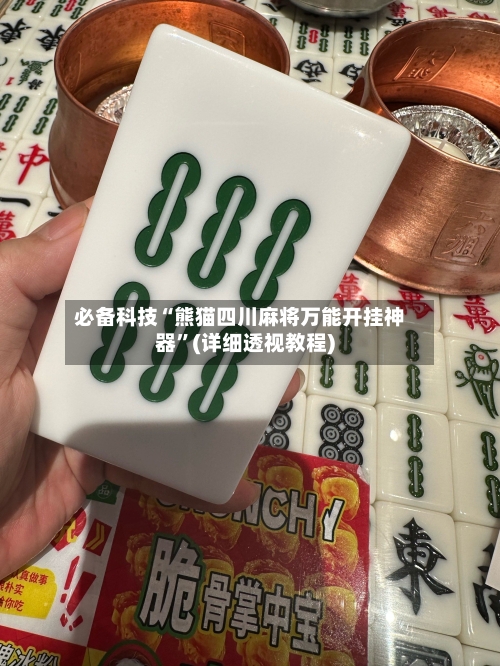 必备科技“熊猫四川麻将万能开挂神器”(详细透视教程)-第2张图片