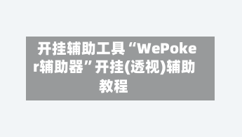 开挂辅助工具“WePoker辅助器	”开挂(透视)辅助教程-第2张图片