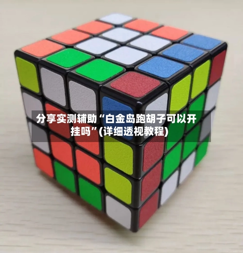 分享实测辅助“白金岛跑胡子可以开挂吗”(详细透视教程)-第2张图片