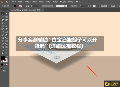 分享实测辅助“白金岛跑胡子可以开挂吗”(详细透视教程)-第1张图片