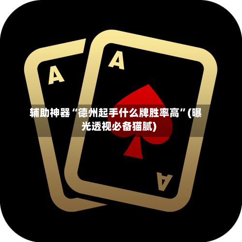 辅助神器“德州起手什么牌胜率高”(曝光透视必备猫腻)-第2张图片