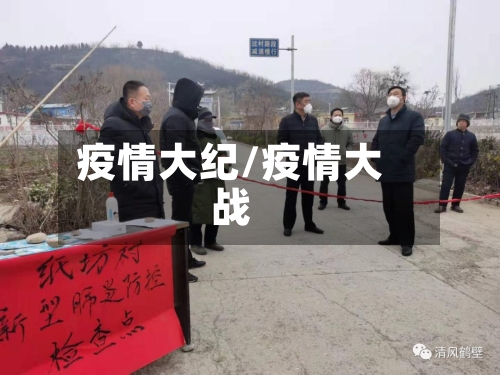 疫情大纪/疫情大战-第2张图片
