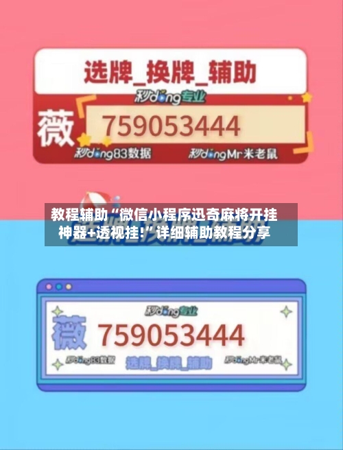 教程辅助“微信小程序迅奇麻将开挂神器+透视挂!”详细辅助教程分享-第3张图片