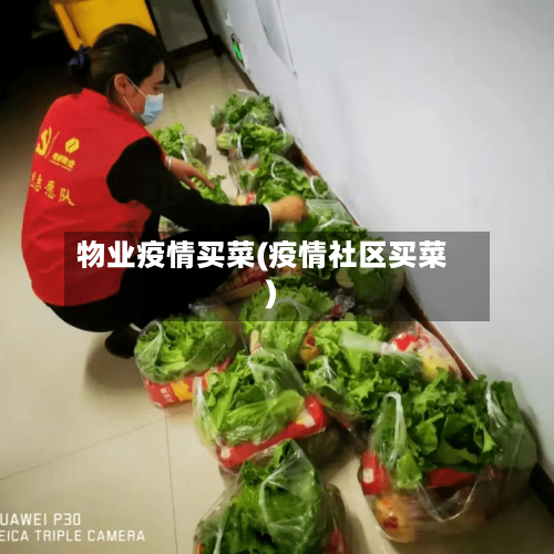 物业疫情买菜(疫情社区买菜)-第3张图片
