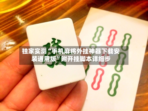 独家实测“手机麻将外挂神器下载安装通用版”附开挂脚本详细步-第2张图片