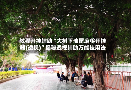 教程开挂辅助“大树下汕尾麻将开挂器(透视)	”揭秘透视辅助万能挂用法-第2张图片